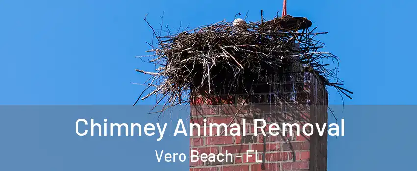  Chimney Animal Removal Vero Beach - FL