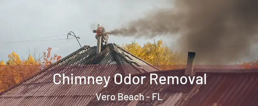  Chimney Odor Removal Vero Beach - FL