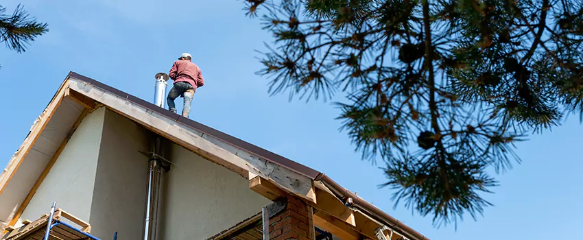 Birds Removal Contractors from Chimney in Vero Beach, FL